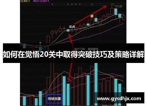 如何在觉悟20关中取得突破技巧及策略详解